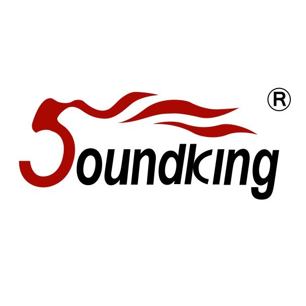 soundking-logo (1).jpg